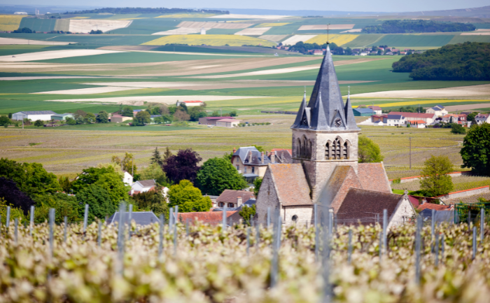 Região de Champagne na França