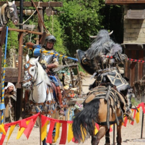 Espetáculo 'La Légende des Chevaliers'