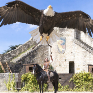 Espetáculo 'Les Aigles Des Remparts'