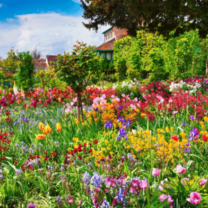 Jardins de Monet