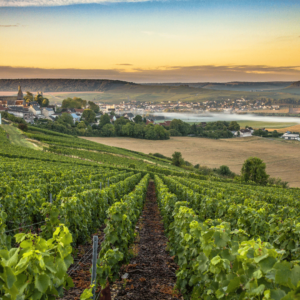 Região do Champagne na França