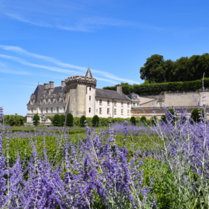 Castelo de Villandry